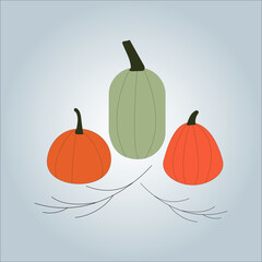 Vector set of orange cute pumpkins isolated.