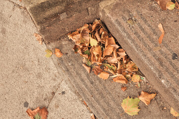 Golden and orange autumn leaves close up natural background