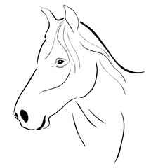 Illustration cheval tête CHEVAL design stylisé