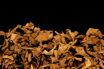 Dry golden chanterelles or Girolle mushrooms isolated on a black background with copy space. Top view