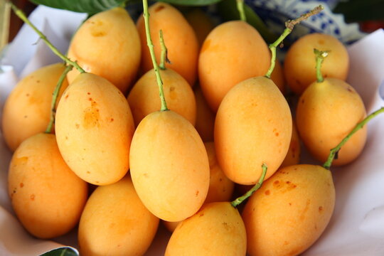 Marian plum or maprang in the basket