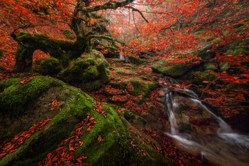 Small waterfall on autumn day in forest