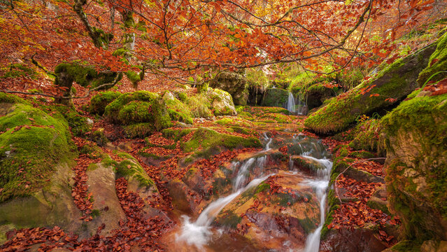 Small waterfall on autumn day in forest