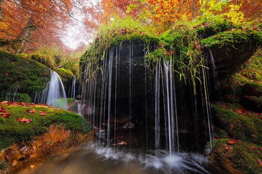 Mossy rocks in autumn forest