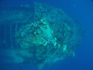 Famous wreck ship Fujikawa maru in Truk lagoon.