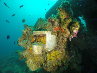 Naklejka na ściany i meble Famous wreck ship Fujikawa maru in Truk lagoon.