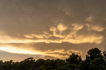 Nice orange mammatus clouds at sunset