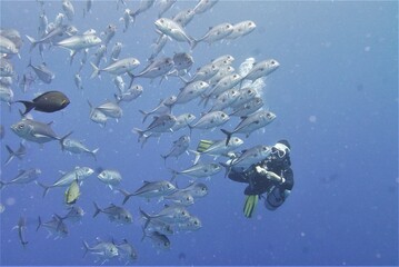 Famous wreck ship Fujikawa maru in Truk lagoon.