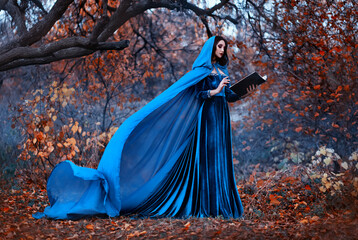 Fantasy Woman witch holds magic book in hands reads spell. Blue vintage clothes silk cape dress...