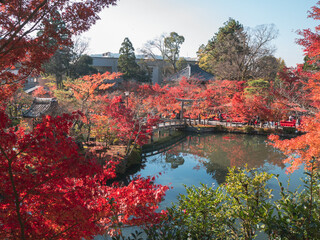 Red autumn colored maple trees around the pond with a bridge at Eikando Zenrinji Temple, Kyoto, Japan