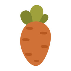 Carrot icon cartoon