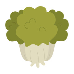 Chinese cabbage icon