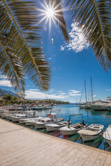 Baska Voda town with harbor against palm tree in Makarska riviera, Dalmatia, Croatia