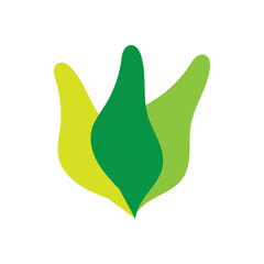 Leaf leaves logo green vector  image