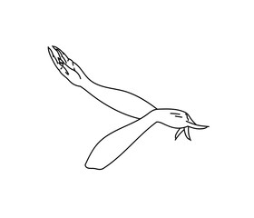 Vector line art illustration of woman hands in traditional folk dance of Uyghurs people, Uighur iconic culture as black logo or icon isolated on white background