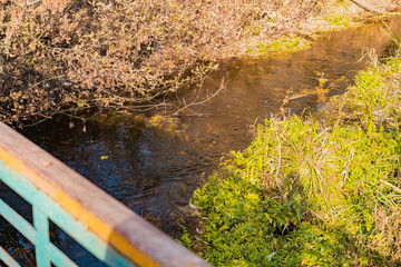 Very clean small river near green plants in autumn near bridge handrails. Green. Plant. Travel. Flowing. Stream. Rural. Scenic. Grass. Autumn. Forest. Lake. Natural. Park. Season. Summer