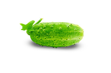 Fresh green cucumber with leaf and flower natural vegetables organic food isolated on white background. High quality photo