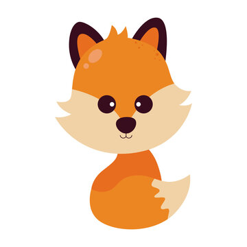 Cute fox icon.