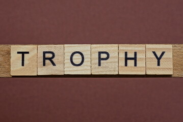  gray word trophy made of wooden square letters on brown background