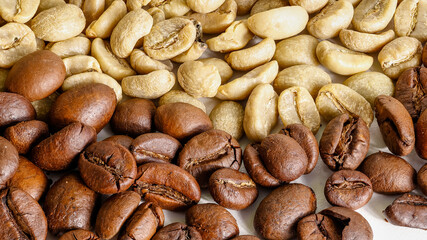 roasted and unroasted coffee beans on white background