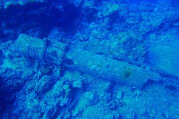 Scuba diving with Manta ray in Yap, Micronesia（Federated States of Micronesia）