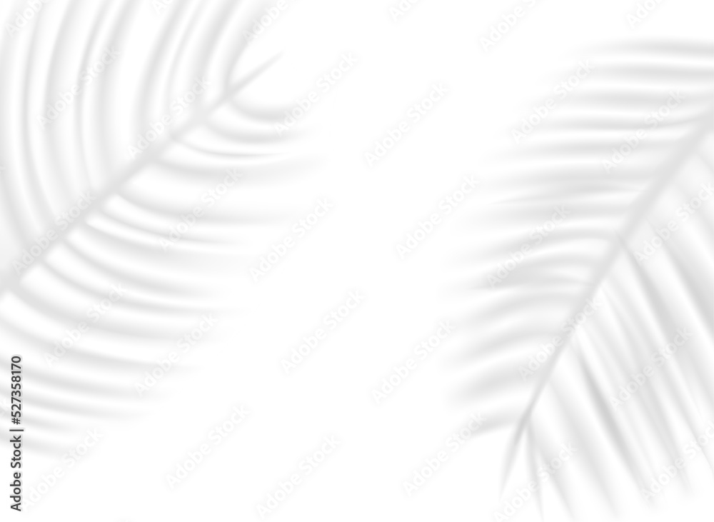 Poster palm leaf shadow overlay effect on transparent background