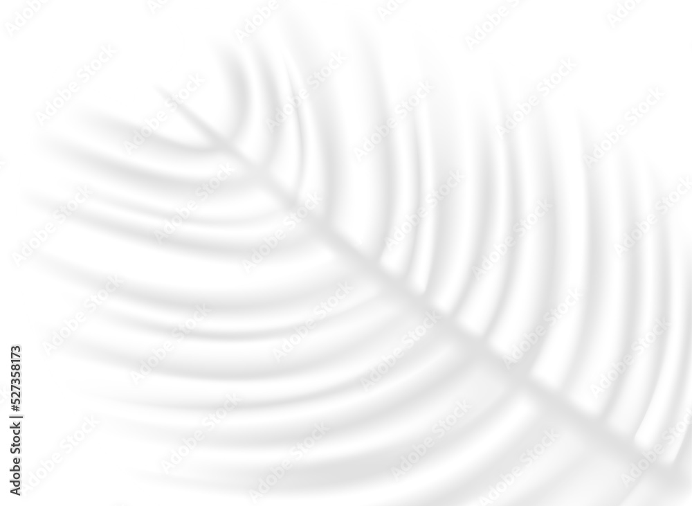 Poster Palm leaf shadow overlay effect on transparent background