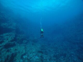 Scuba diving with Manta ray in Yap, Micronesia（Federated States of Micronesia）