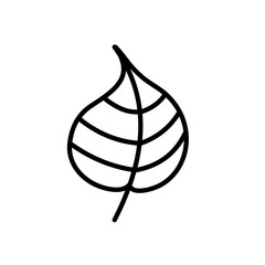 leaf icon-  vector  icon