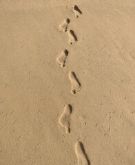 capture of humans footprints in the clear sand on the beach side