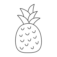 Pineapple linear icon
