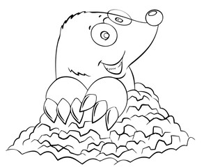 Mole.Element for coloring page. Cartoon style.