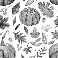 Seamless pattern of pumpkins and leaves. Autumn background of different falling leaves. Hand-drawn in the style of engraving
