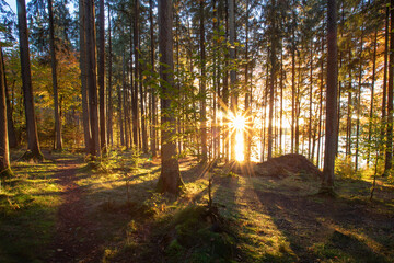 Obraz premium Sonnenuntergang, Herbstwald, Hofstätter See