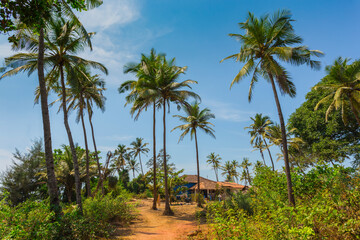House in the tropical jungle