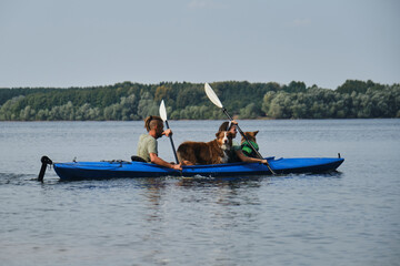 Going kayak boating with dogs on river, active pets concept, happy dog and owner on adventure. Young couple with dreadlocks having fun on vacation with German and Australian Shepherd dogs.