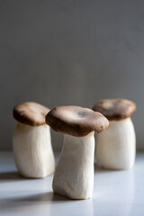 A trio of king oyster mushrooms shot in natural morning light