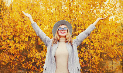 Autumn portrait happy smiling woman having fun raising her hands up wearing gray coat, round hat on yellow leaves background