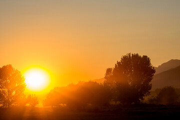 Sunset golden light against the Sun, silhouettes, near lake Kerkini national part, Northern Greece