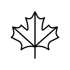 maple leaf - icon vector	