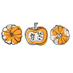Pumpkins doodle isolated on a white background