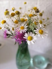Fototapeta na wymiar a bouquet of wild daisies in a turquoise vase on a blurry background. Floral Wallpaper
