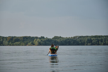 Caucasian woman with dreadlocks sitting on board in lake and rowing with oar. Australian Shepherd in life jacket. Stand up paddle with pet. Concept animals actively spend time with owner. Rear view.