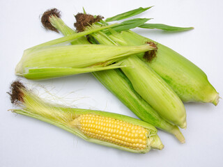 corn on the cob, fresh and ripe corn on the cob, open and closed on a light background, close up