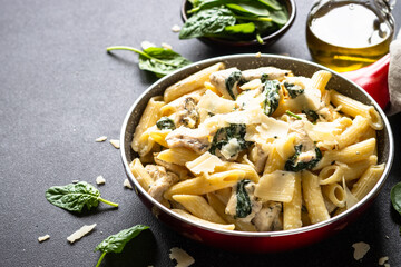 Pasta penne with chicken and spinach in creamy sauce.