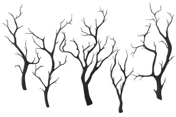 Hand drawn tree branches collection. Set of black branches without leaves  isolated on PNG transparent background.