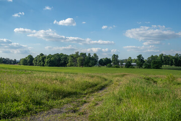 Obraz premium Overgrown path near a field in the farmland of Amish country, Ohio