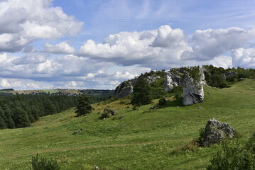 Fototapeta na wymiar The natural white Jura limestone cliffs