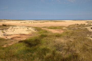 Drought. Dry lagoon in a protected area of the Galicia region, in Spain