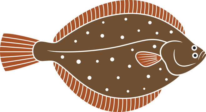 Olive Flounder Logo. Isolated Flounder On White Background